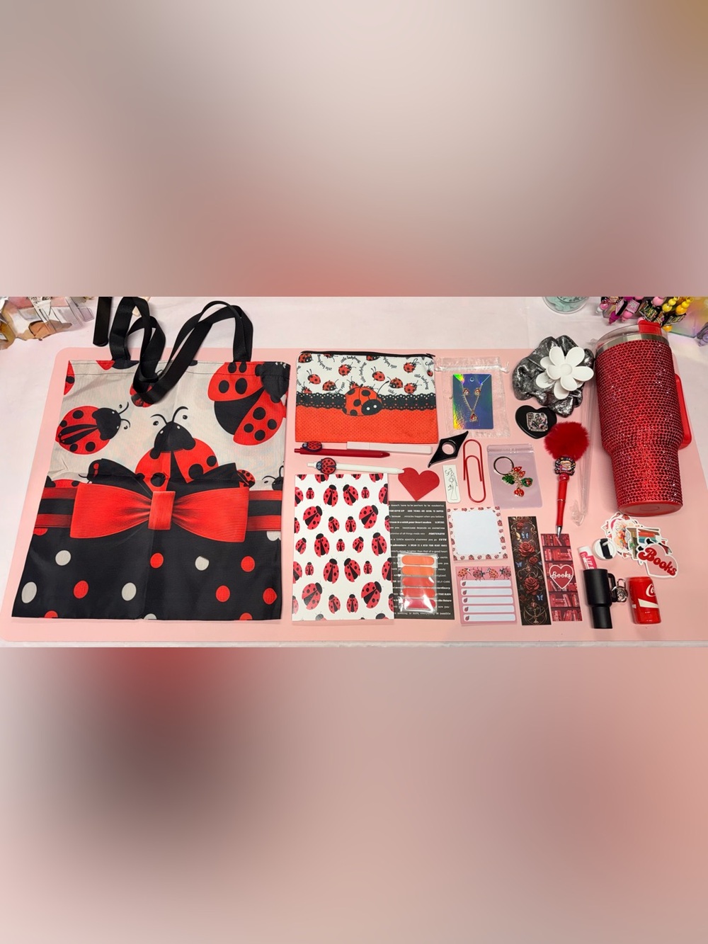 Ladybug Bookish and Beauty Bundle